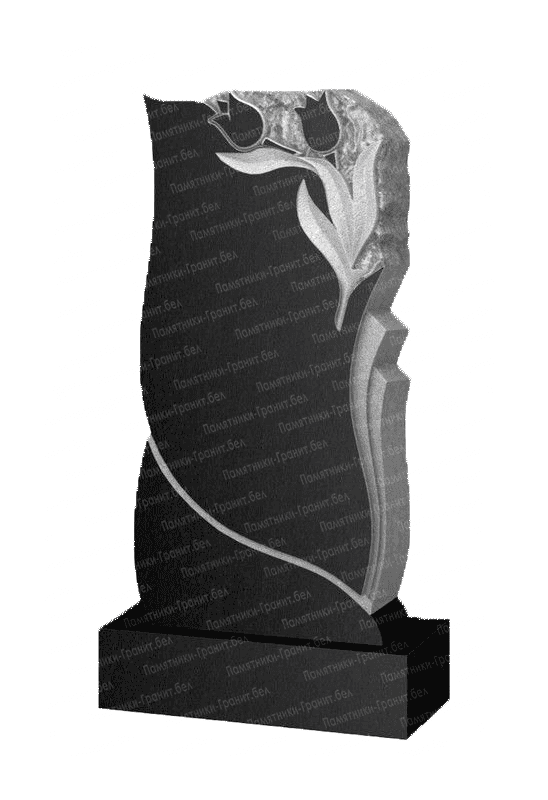 Памятник Шарковщина фото