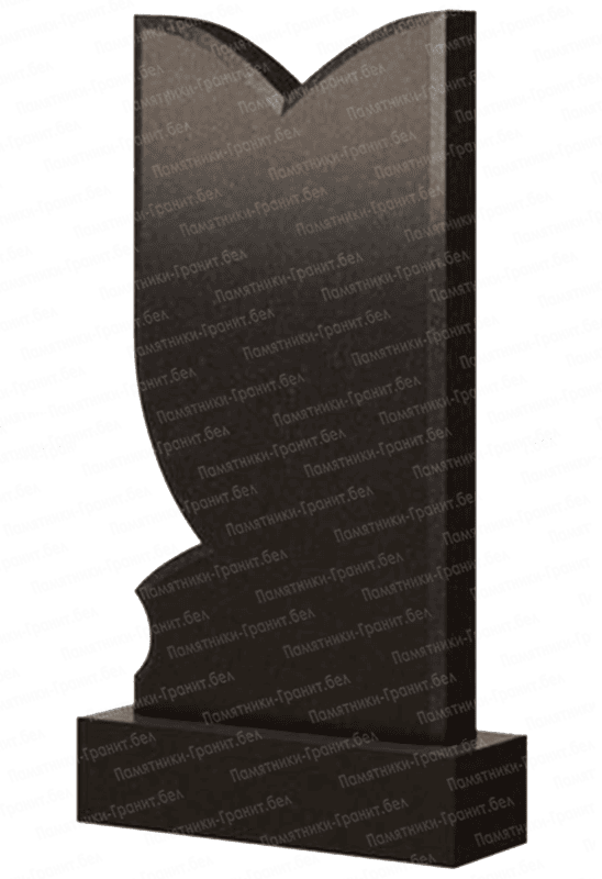 Гранитный памятник фото Шарковщина
